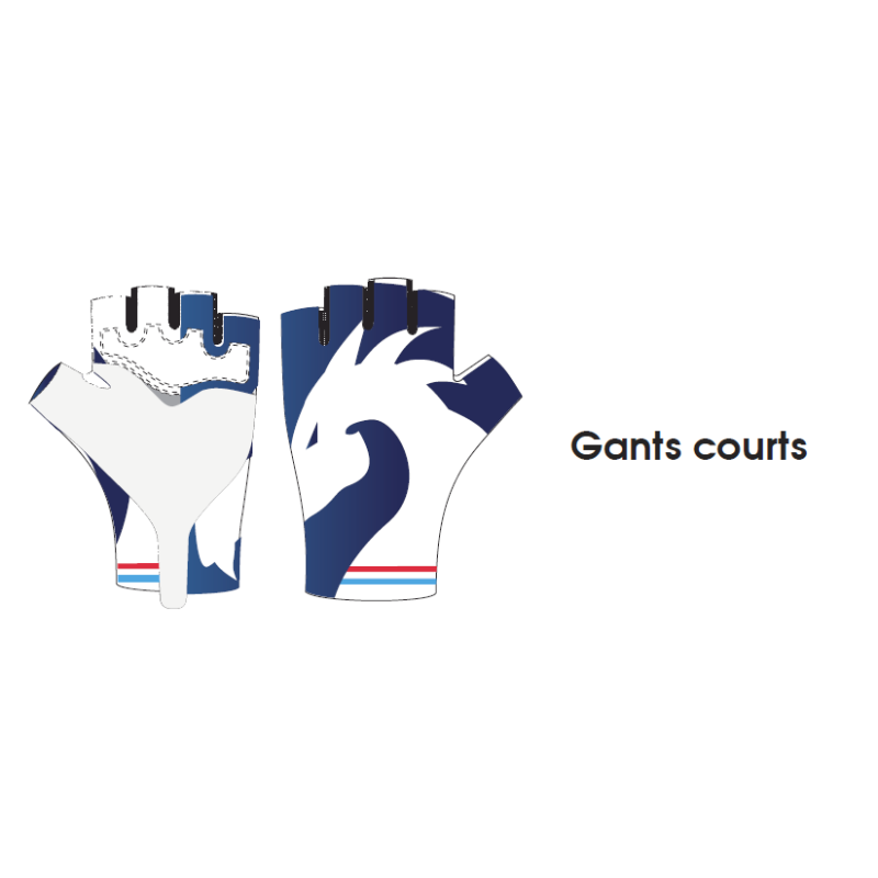 Gants DRAGONS